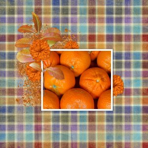 mandarin_oranges