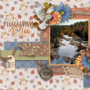 Autumn Bliss