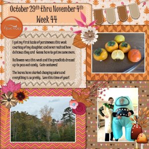 Project 365 Challenge - Week 44