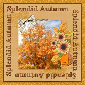 Splendid Autumn