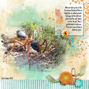 Picnic Ant