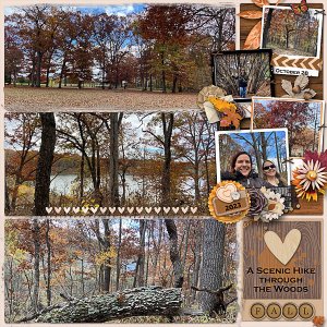 A Scenic Hike Through the Woods