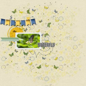 Buterfly