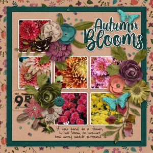 Thankful for Autumn Blooms