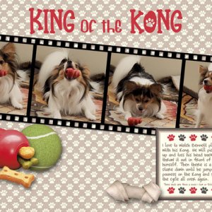 King of the Kong