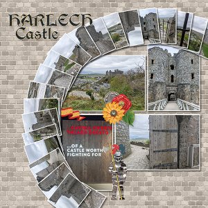 Europe_Wales Castle