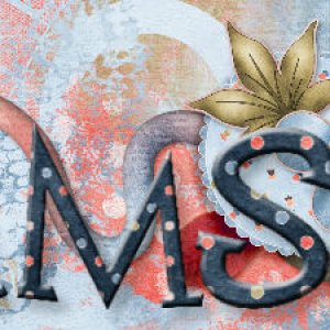 Signature Challenge-Nov