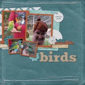 Birds