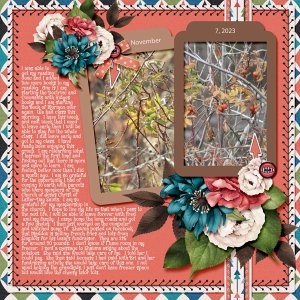 11-November-7_-2023