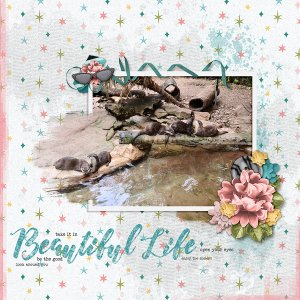 Beautiful Life