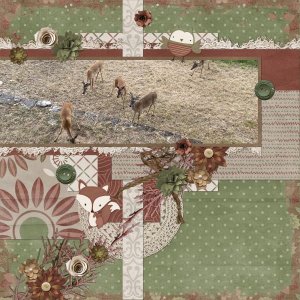 Deer