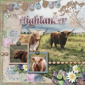 Highlander