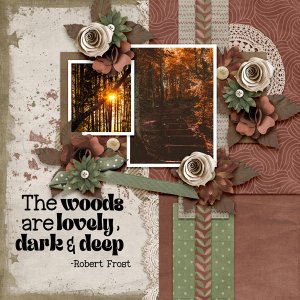 The woods -dark and deep