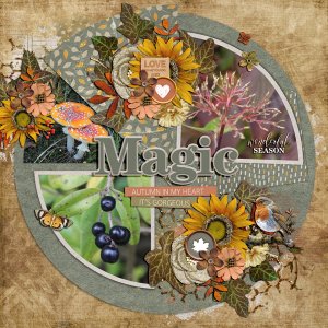 Autumn magic 2023