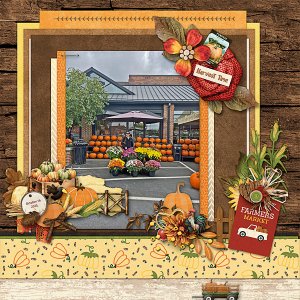 Harvest Time at the Farmers Market