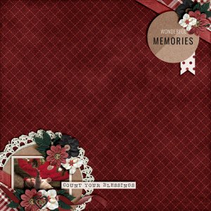 Wonderful-Memories