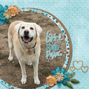 pawsitive-scrap-chat