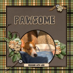 Pawsome