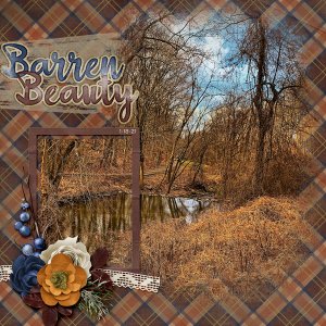Barren Beauty