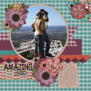 Amazing Journey