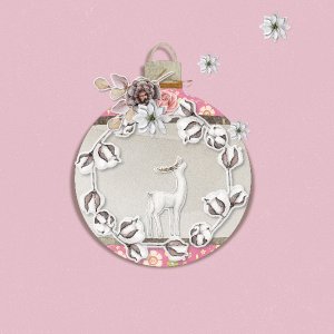 decorate_your_ornament