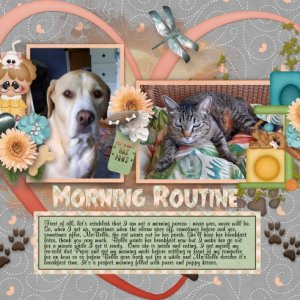 LAD_Nov_8_-_Morning_Routine_600_x_491_