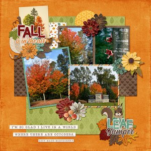 Fall Favourites