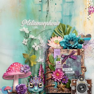 Metamorphosis