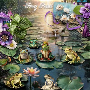 Frog pond
