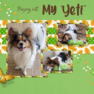 Playing with My Yeti