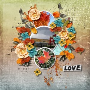 Beauty of Autumn