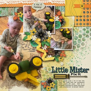 Little Mr Fix It