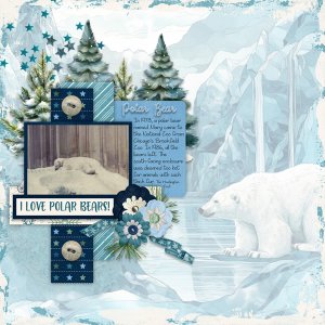 Cute Critters Polar Bears with White Space Temps 45-Connie Prince