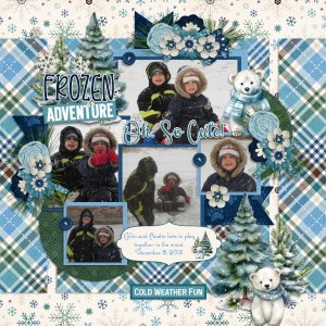 Frozen Adventure