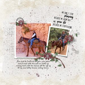 Riding-Horses