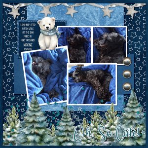 Cute Critters Polar Bears kit from Designs by Connie Prince