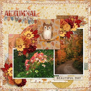Autumn Aura
