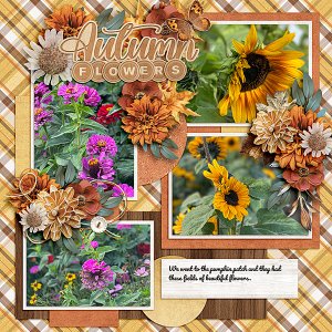 Fall-Flowers