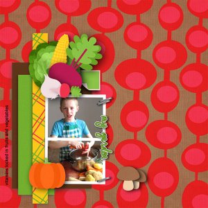 Vegetable Garden