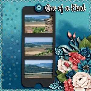ONE OF A KIND-JY -NOV23