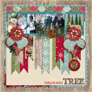 Finding The Perfect Tree