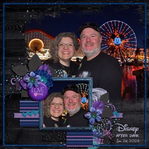 Disney after dark