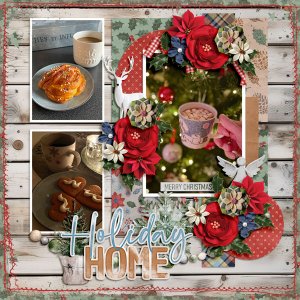 Holiday Home