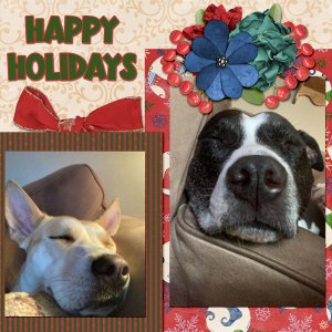 tcot-holidayhappiness-aharrisonalittleelvish-cherylLO1