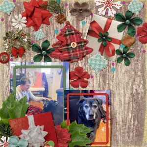 tcot-shapesnsizes-countryxmas