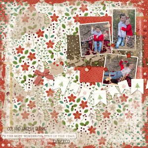 2023 December Bundle by Designs by Connie Prince
