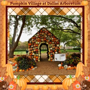 Pumpkin Village at Dallas Arboretum