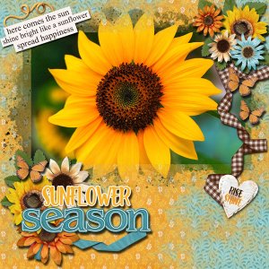Sunflowers