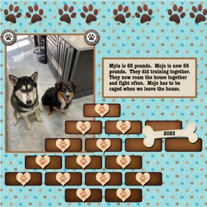 2023-11-26 Myla and Mojo
