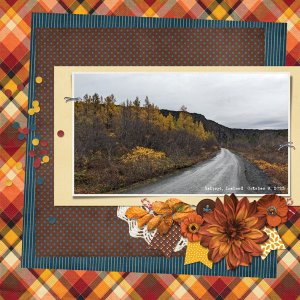 GS-2023-11-createdwithrewards